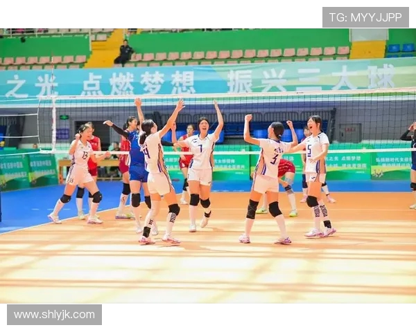 成都排球队运营革新探索：打造全新发展模式与市场策略